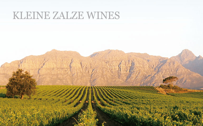 クライン・ザルゼ メソッド・キャップ・クラシック・ブリュット NV/Kleine Zalze Method Cap Classique (MCC)  Brut【南アフリカ・スパークリング】/Cave de Terre Online Wine
