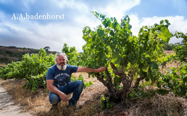 badenhorst2.jpg