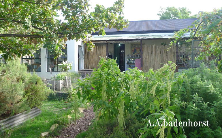 badenhorst5.jpg
