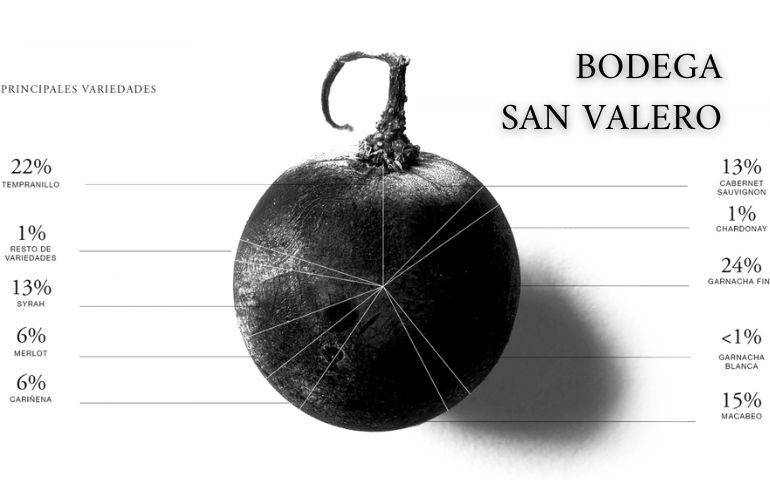 bodega_san_valero_2.jpg