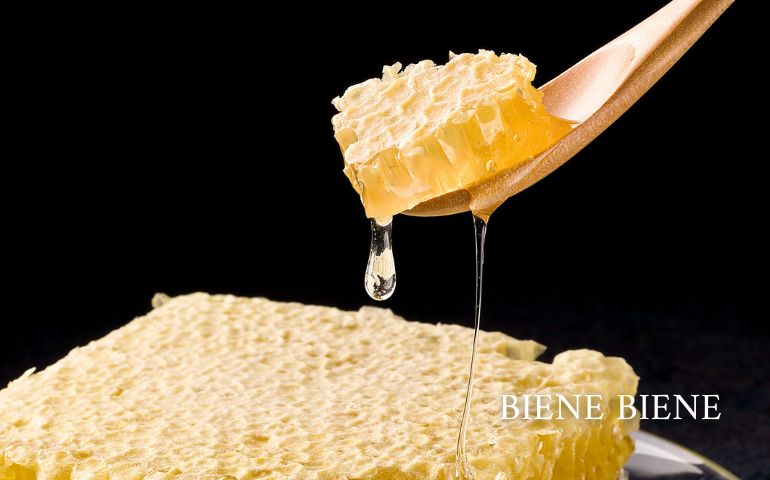 combhoney_1.jpg