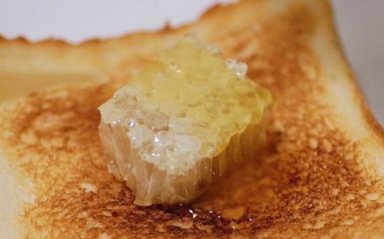 combhoney_3.jpg
