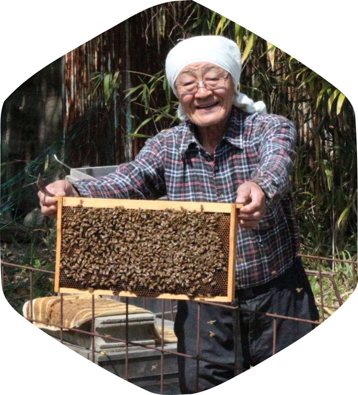 田中さん