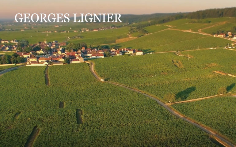 lignier1.jpg
