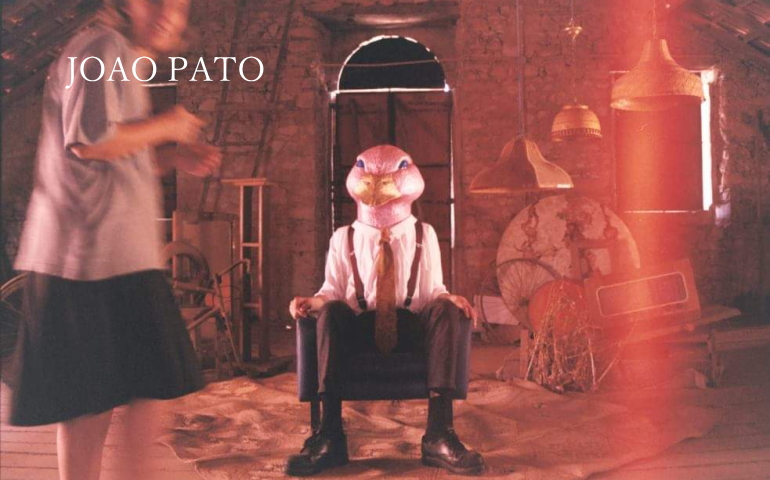 pato2.jpg