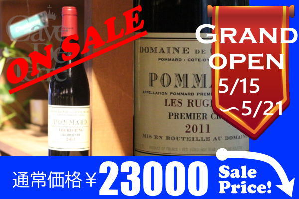 ポマール　プルミエクリュ　レ・リュジアン 2011【バックヴィンテージ】ドメーヌ・ド・クルセル　/Domaine de Courcel Pommard Premier Cru Les Rugiens /ブルゴーニュ赤