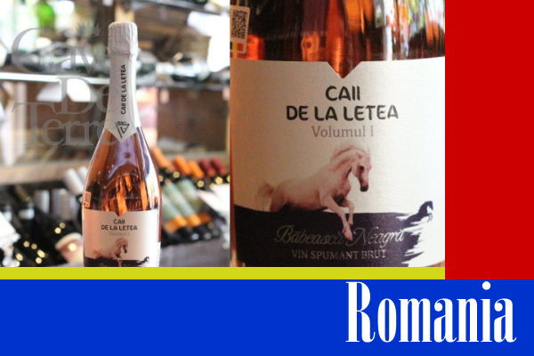 カーイ・デ・ラ・レテア　スパークリング　バベアスカネアグラ/Caii de la Letea Sparkling Babeasca Neagra/ルーマニア・スパークリング
