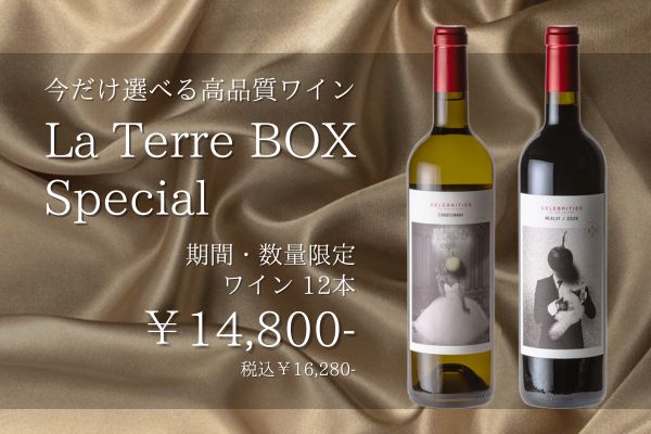 【期間限定・売切れ迄】ラテールボックス　スペシャル/La Terre Box Special【ワインセット・12本】